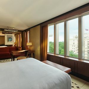 Habitación Park con Cama King